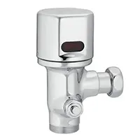 Toilet Flush Valve Replacement Weston
